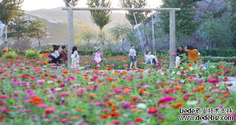 图为市民在辽宁省政采云教程北票市一公园休闲游玩（财政部等六部门印发《市政基础设施资产管理办法（试行）》）